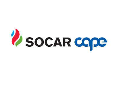 Partner Logo